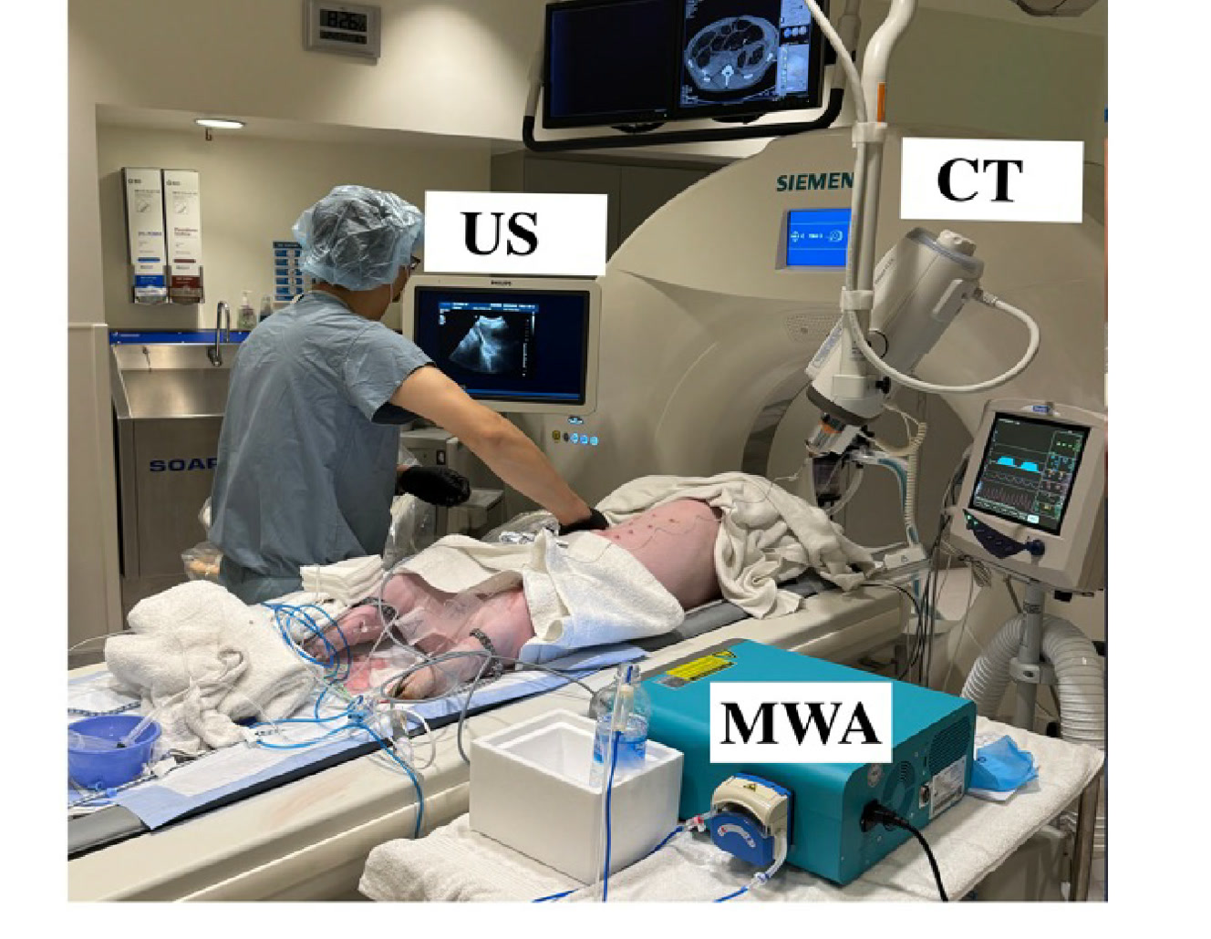 Microwave ablation workflow optimization in porcine models